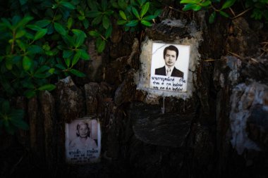Wat Songkran Tapınağı Bngkok, Tayland 