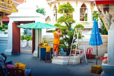 Wat Songkran Tapınağı Bngkok, Tayland 