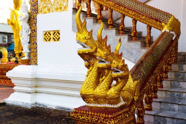 Chiang Mai, Tayland 'daki Budist Tapınağı