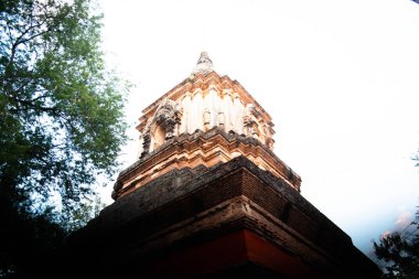 Chiang Mai, Tayland 'daki Budist Tapınağı 