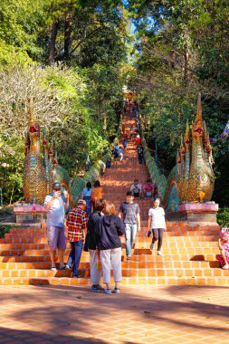 Tayland 'daki Wat Doi Suthep Tapınağı 