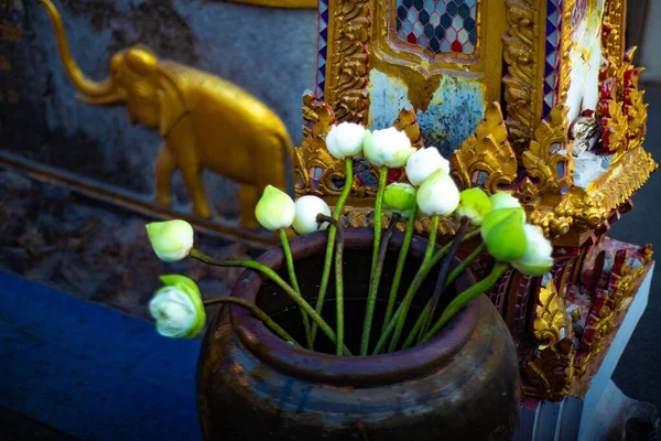 Templo Wat Songkran Bnge Net Tailandia —  Fotos de Stock