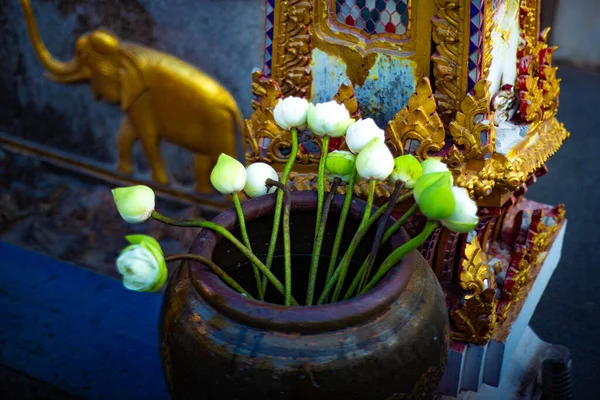 Temple Wat Songkran Bngagara Thaïlande — Photo