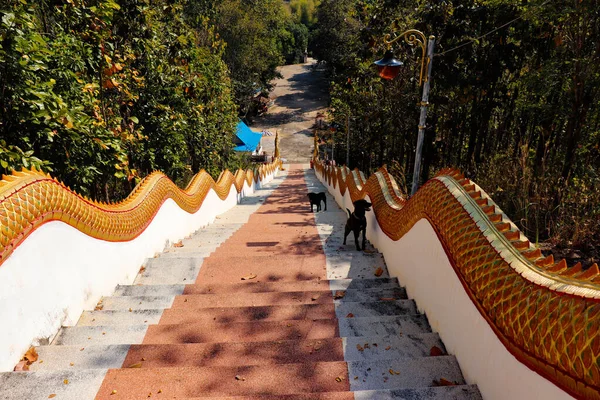 Território Arquitetura Templo Chiang Mai Tailândia — Fotografia de Stock