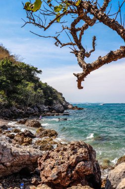 Tayland. Şehir Koh Larn.