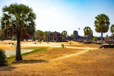 Angkor Budist Tapınağı, Kamboçya 