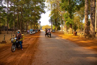 Budist tapınağı Angkor Wat, Kamboçya 