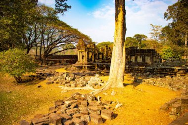 Budist tapınağı Angkor Wat, Kamboçya 