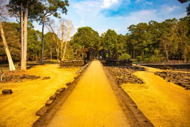 Budist tapınağı Angkor Wat, Kamboçya 