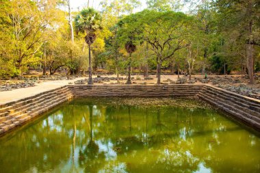 Budist tapınağı Angkor Wat, Kamboçya 