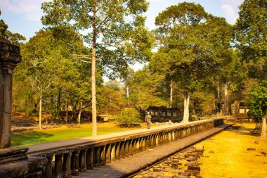 Budist tapınağı Angkor Wat, Kamboçya 