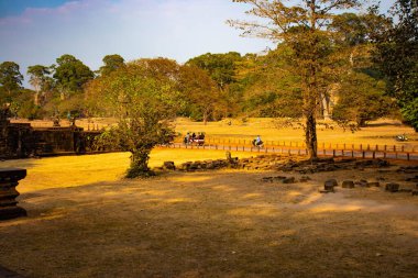 Budist tapınağı Angkor Wat, Kamboçya 