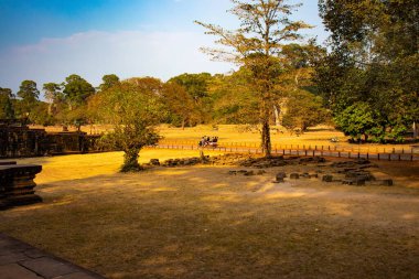 Budist tapınağı Angkor Wat, Kamboçya 