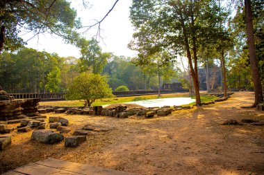 Budist tapınağı Angkor Wat, Kamboçya 