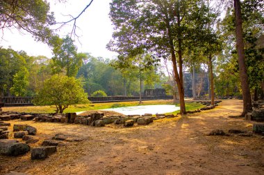 Budist tapınağı Angkor Wat, Kamboçya 