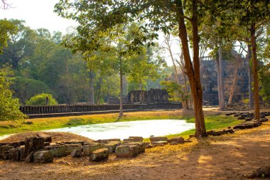 Budist tapınağı Angkor Wat, Kamboçya 