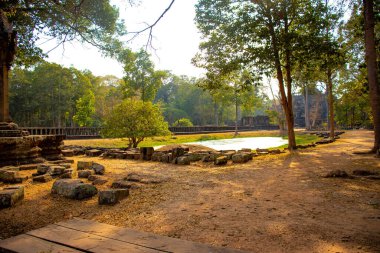 Budist tapınağı Angkor Wat, Kamboçya 