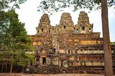 Budist tapınağı Angkor Wat, Kamboçya 