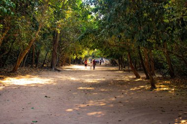 Antik tapınak Angkor Wat Kamboçya 'da