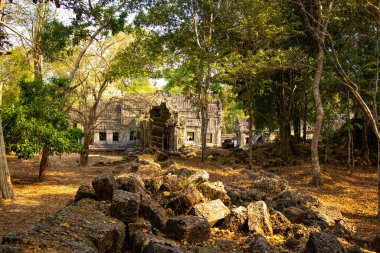 Antik tapınak Angkor Wat Kamboçya 'da