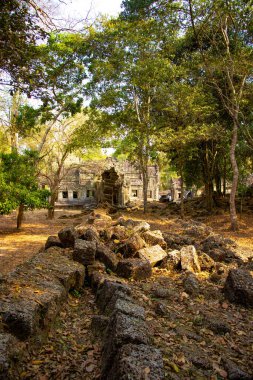 Antik tapınak Angkor Wat Kamboçya 'da