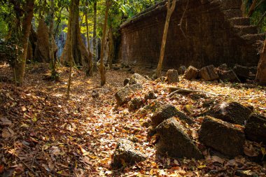 Antik tapınak Angkor Wat Kamboçya 'da