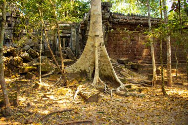 Angkor Wat tapınağının kalıntıları, Kamboçya 