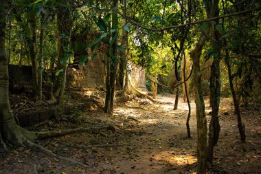 Angkor Wat tapınağının kalıntıları, Kamboçya 