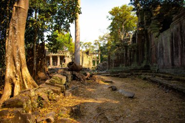 Angkor Wat tapınağının kalıntıları, Kamboçya 