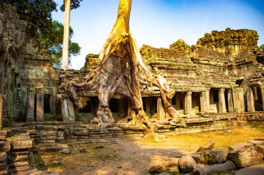 Angkor Wat tapınağının kalıntıları, Kamboçya 