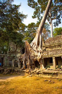 Angkor Wat tapınağının kalıntıları, Kamboçya 
