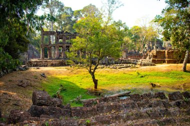 Angkor Wat tapınağının kalıntıları, Kamboçya 