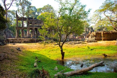 Angkor Wat tapınağının kalıntıları, Kamboçya 