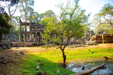 Angkor Wat Taş Tapınağı, Kamboçya 