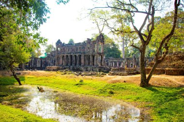 Angkor Wat Taş Tapınağı, Kamboçya 