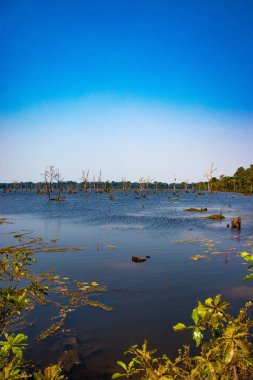 Angkor Budist Tapınağı, Kamboçya 