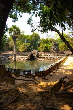 Angkor Wat Taş Tapınağı, Kamboçya 