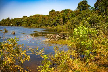 Angkor Budist Tapınağı, Kamboçya 