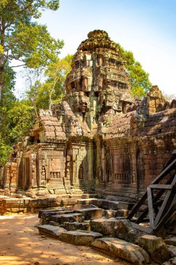 Angkor Wat Taş Tapınağı, Kamboçya 
