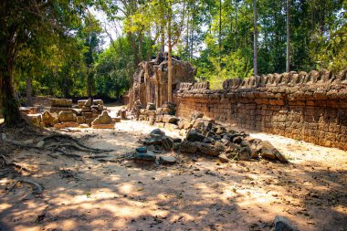 Angkor Wat Taş Tapınağı, Kamboçya 