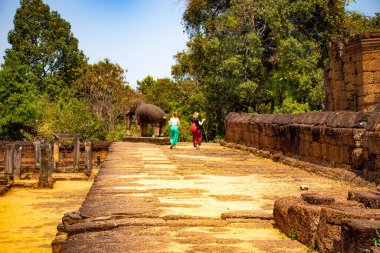 Angkor Wat Tapınağı, Kamboçya 