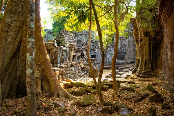 Starověký Chrám Angkor Wat Kambodži — Stock fotografie