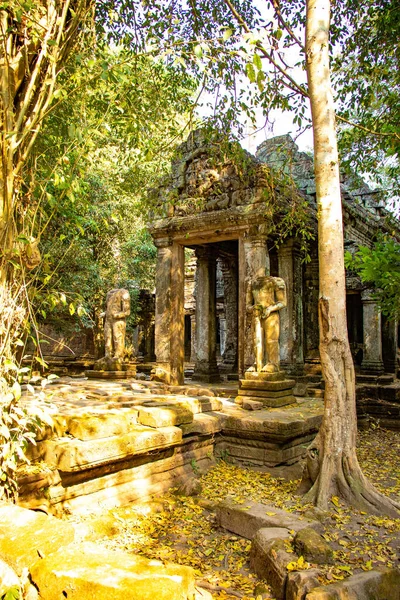 Tempelruinen Von Angkor Wat Kambodscha — Stockfoto