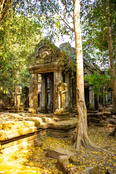 Angkor Wat Tapınağının Kalıntıları Kamboçya — Stok fotoğraf