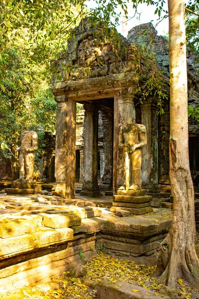 Territorium Van Angkor Wat Tempel Ruïnes Cambodja — Stockfoto