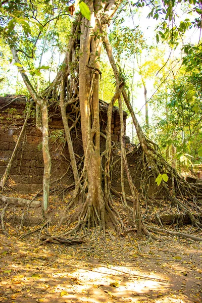 Território Angkor Wat Templo Ruínas Camboja — Fotografia de Stock