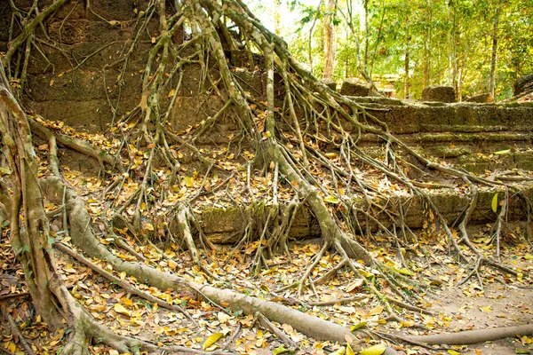 Território Angkor Wat Templo Ruínas Camboja — Fotografia de Stock