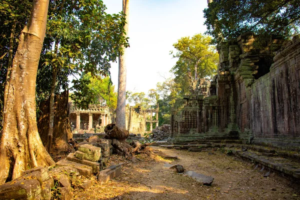 Развалины Храма Ангкор Ват — стоковое фото