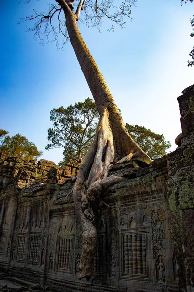 カンボジアのアンコールワット寺院遺跡の領土 — ストック写真