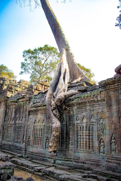 カンボジアのアンコールワット寺院遺跡の領土 — ストック写真